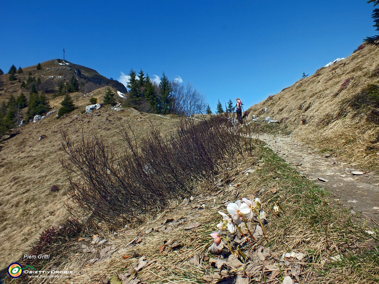 42 Dalla Forcella Larga saliamo al Pizzo Formico....JPG